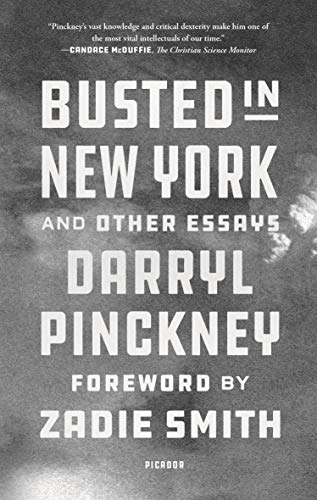 Busted in New York and Other Essays von Picador