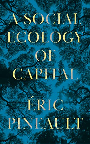 A Social Ecology of Capital von Pluto Press