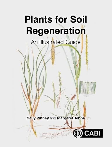 Plants for Soil Regeneration: A Guide