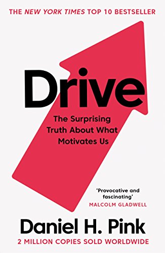 Drive: The Surprising Truth About What Motivates Us von Canongate Books Ltd.