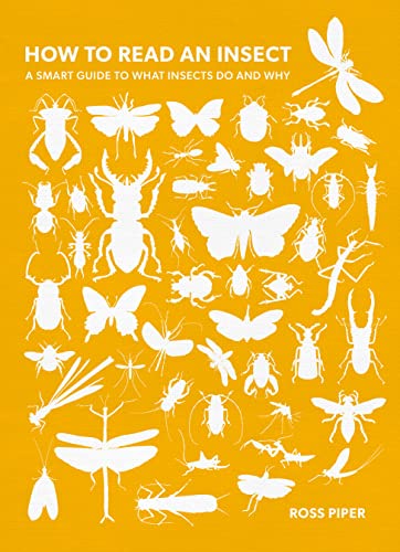 How to Read an Insect: A Smart Guide to What Insects Do and Why von The History Press Ltd