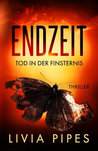 Endzeit – Tod in der Finsternis: Survival-Thriller (Endzeit-Visionen, Band 2)