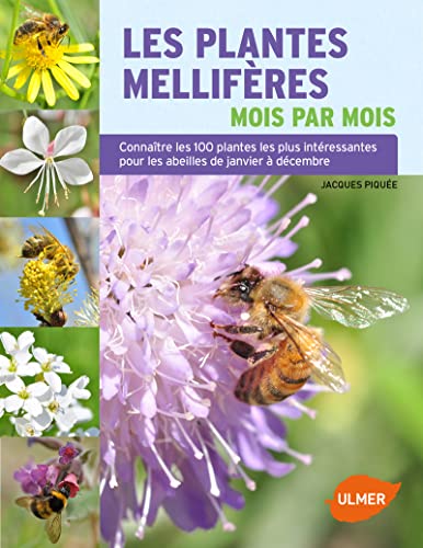 Les Plantes mellifères mois par mois: Connaître les 100 plantes les plus intéressantes pour les abeilles de janvier à décembre