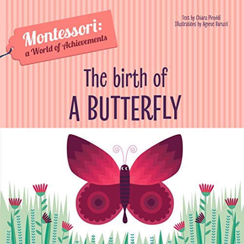 The Birth of a Butterfly: Montessori: A World of Achievements (Montessori: Touch and Feel)