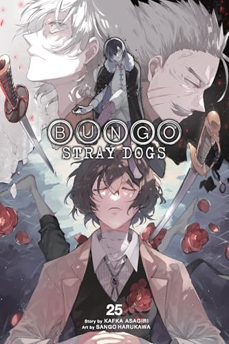 Bungo Stray Dogs, Vol. 25: Volume 25 (Bungo Stray Dogs, 25) von Yen Press