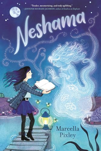 Neshama von Candlewick Press (MA)