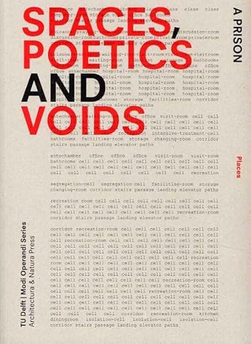 Spaces, poetics and voids (Modi Operandi, Band 1)