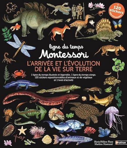 Ligne du temps Montessori - L'arrivée et l'évolution de la vie sur terre von NATHAN