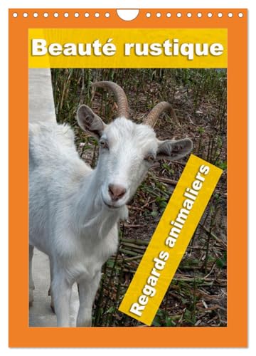 Beauté rustique Regards animaliers (Calendrier mural 2025 DIN A4 vertical), CALVENDO calendrier mensuel von CALVENDO