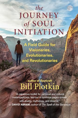 Journey of Soul Initiation: A Field Guide for Visionaries, Evolutionaries, and Revolutionaries von New World Library