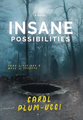 Insane Possibilities von Co-Pilot Publishing LLC