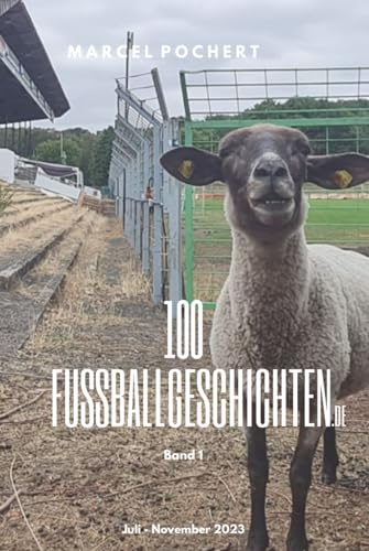 100 Fussballgeschichten.de: Juli - November 2023 von Independently published