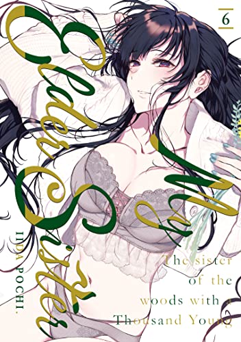 My Elder Sister - Tome 6 von Meian