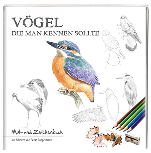 Vögel, die man kennen sollte: Mal- und Zeichenbuch