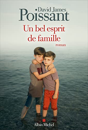 Un bel esprit de famille von ALBIN MICHEL