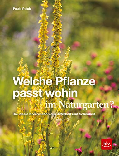 Welche Pflanze passt wohin im Naturgarten?: Die ideale Kombination aus Arterhalt und Schönheit (BLV Pflanzenpraxis)