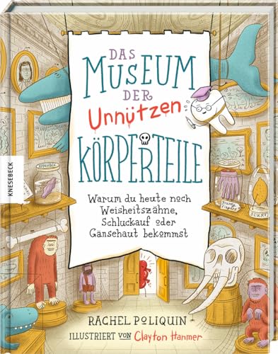 Das Museum der unnützen Körperteile: Warum du heute noch Weisheitszähne, Schluckauf oder Gänsehaut bekommst von Knesebeck