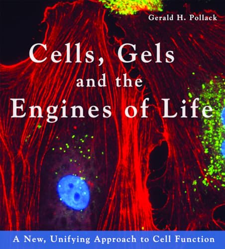 Cells, Gels and the Engines of Life: A New, Unifying Approach to Cell Function