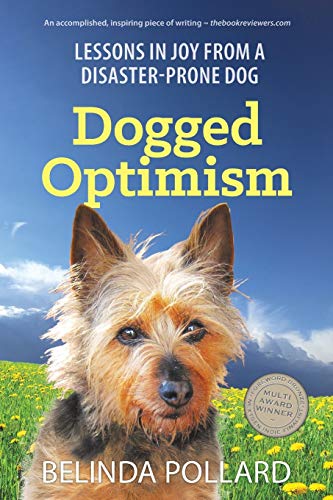 Dogged Optimism: Lessons in Joy from a Disaster-Prone Dog