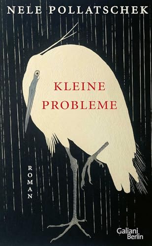 Kleine Probleme: Roman