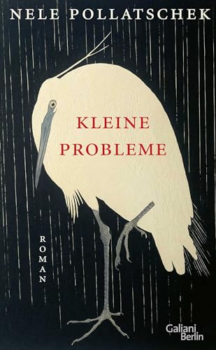 Kleine Probleme: Roman von Galiani, Verlag