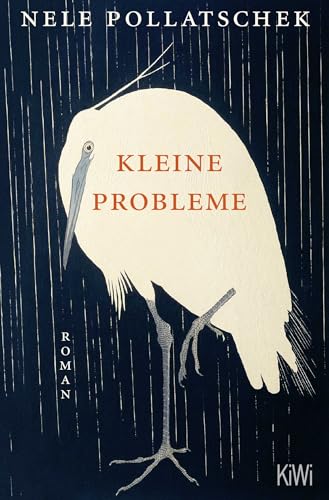 Kleine Probleme: Roman von KiWi-Taschenbuch