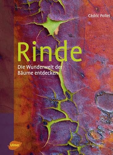 Rinde: Die Wunderwelt der Bäume entdecken Rinde: Die Wunderwelt der Bäume entdecken