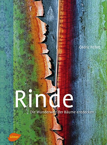 Rinde: Die Wunderwelt der Bäume entdecken
