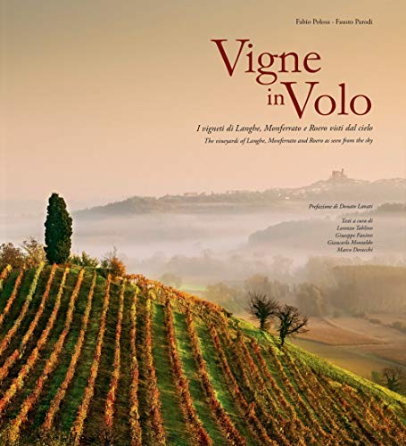 Vigne in volo. I vigneti di Langhe, Monferrato e Roero visti dal cielo. Ediz. italiana e inglese von Immagine.com