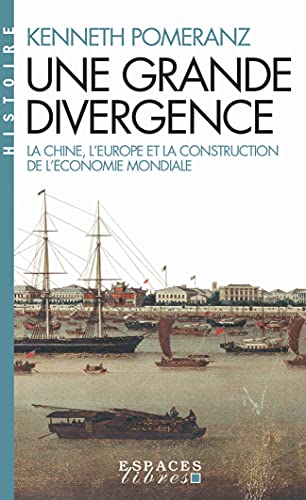 Une grande divergence (Espaces Libres - Histoires): La Chine, l'Europe et la construction de l'économie mondiale