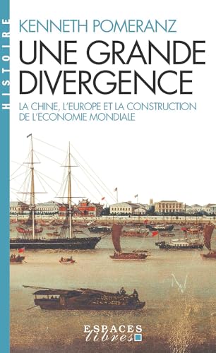 Une grande divergence (Espaces Libres - Histoires): La Chine, l'Europe et la construction de l'économie mondiale von ALBIN MICHEL