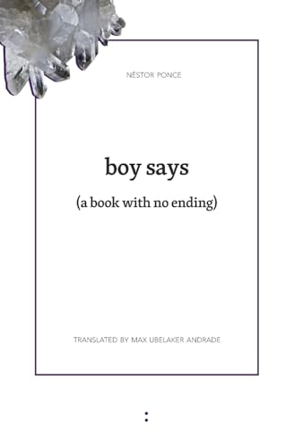 boy says: (a book without ending) von Punctum Books