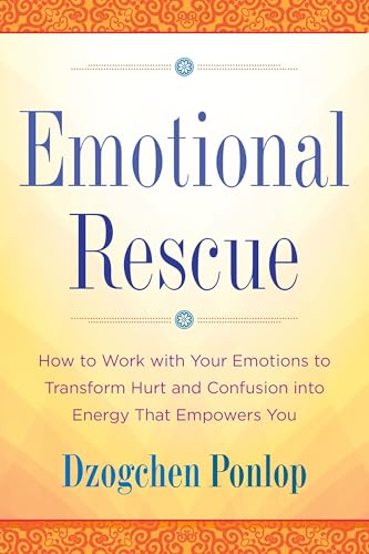 Emotional Rescue: How to Work with Your Emotions to Transform Hurt and Confusion into Energy That Empowers You Emotional Rescue: How to Work with Your Emotions to Transform Hurt and Confusion into Energy That Empowers You