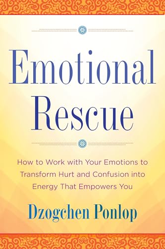 Emotional Rescue: How to Work with Your Emotions to Transform Hurt and Confusion into Energy That Empowers You