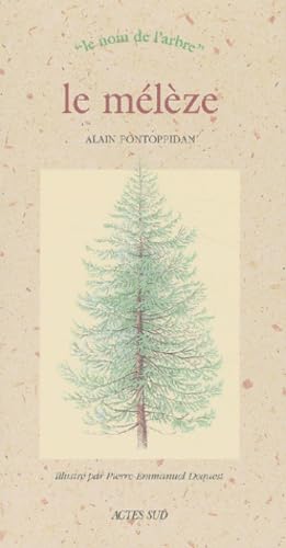 Le Mélèze: LE NOM DE L'ARBRE