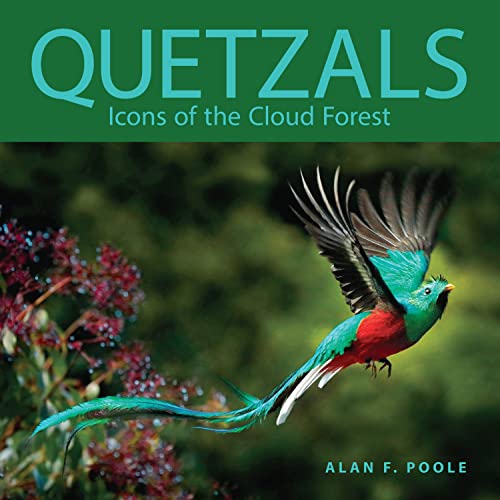 Quetzals: Icons of the Cloud Forest (Zona Tropical Publications)