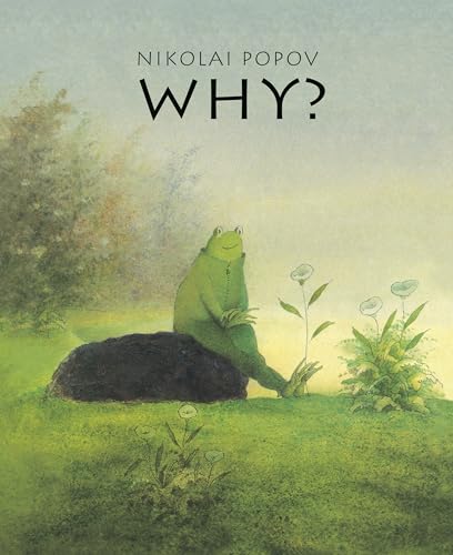 WHY?: A Timeless Story Told Without Words von minedition