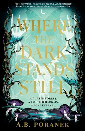 Where the Dark Stands Still: A sweeping, gothic YA fairytale romance von Penguin