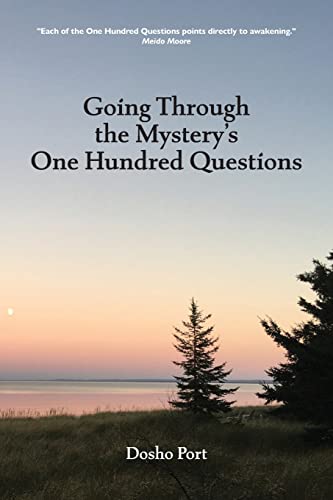 Going Through the Mystery's One Hundred Questions von The Sumeru Press Inc.