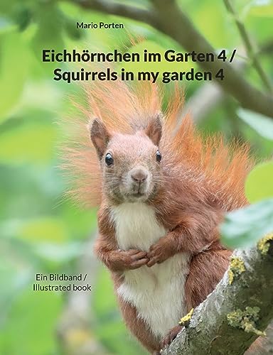 Eichhörnchen im Garten 4 / Squirrels in my garden 4: Ein Bildband / Illustrated book von BoD – Books on Demand
