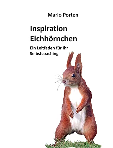 Inspiration Eichhörnchen: Ein Leitfaden für Ihr Selbstcoaching