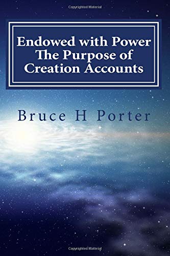 Endowed with Power: The Purpose of Creation Accounts von CreateSpace Independent Publishing Platform