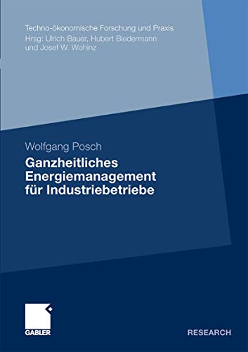 Ganzheitliches Energiemanagement für Industriebetriebe (Techno-ökonomische Forschung und Praxis) von Gabler Verlag