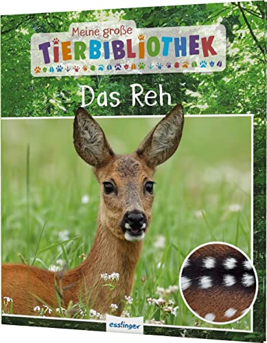 Meine große Tierbibliothek: Das Reh: Erstes Wissen für Vor- und Grundschule von Esslinger Verlag