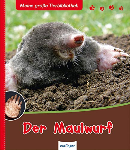 Meine große Tierbibliothek: Der Maulwurf