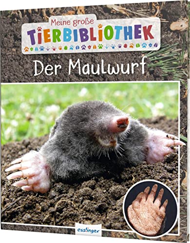 Meine große Tierbibliothek: Der Maulwurf: Sachbuch für Vorschule & Grundschule von Esslinger Verlag