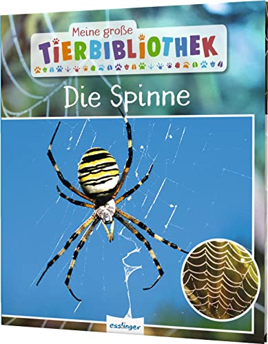 Meine große Tierbibliothek: Die Spinne: Sachbuch für Vorschule & Grundschule