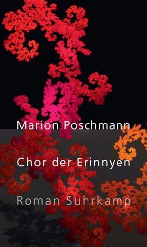 Chor der Erinnyen: Roman | Die Parallelgeschichte zum Bestseller »Die Kieferninseln« von Suhrkamp Verlag