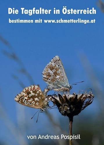 Die Tagfalter Österreichs bestimmen: mit www.schmetterlinge.at