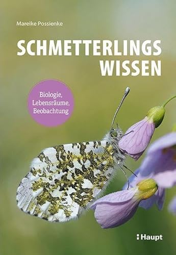 Schmetterlingswissen: Biologie, Lebensräume, Beobachtung von Haupt Verlag AG